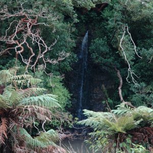 Staglands