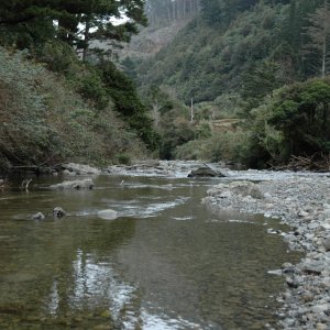 Staglands