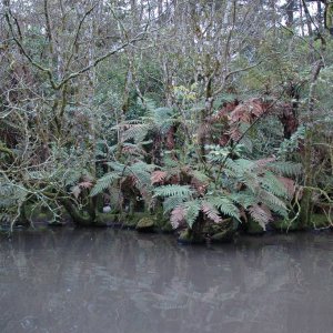 Staglands