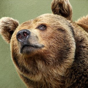 test large