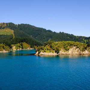 Moioio island