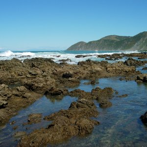 Wellington