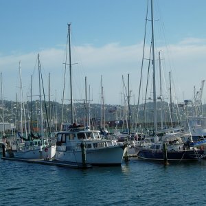 Wellington