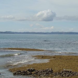 Musick Point