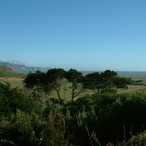 palisser bay west