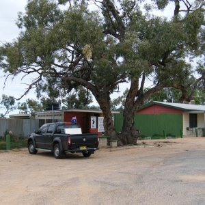 Sydney-Kalgoorlie