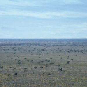 Sydney-Kalgoorlie