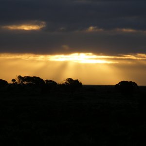 Sydney-Kalgoorlie