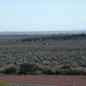 Sydney-Kalgoorlie