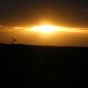 Sydney-Kalgoorlie