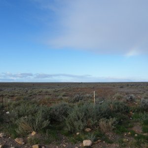 Sydney-Kalgoorlie