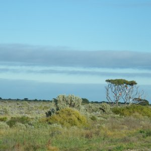 Sydney-Kalgoorlie