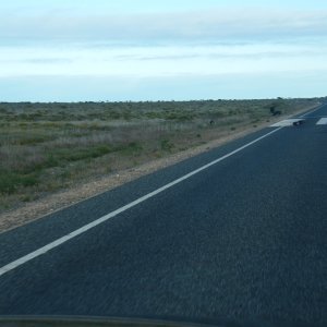 Sydney-Kalgoorlie