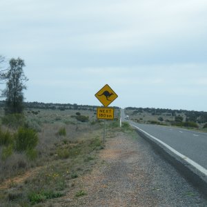 Sydney-Kalgoorlie