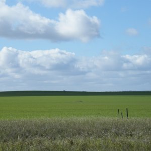 Sydney-Kalgoorlie