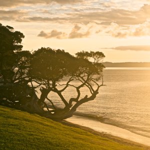 Whangaparaoa