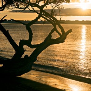 Whangaparaoa