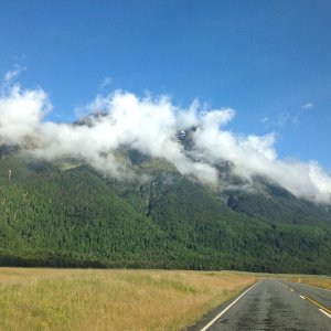 13171-image 232517