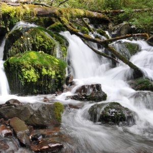 Просто осень в Maruia Springs
