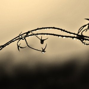 Природа радует