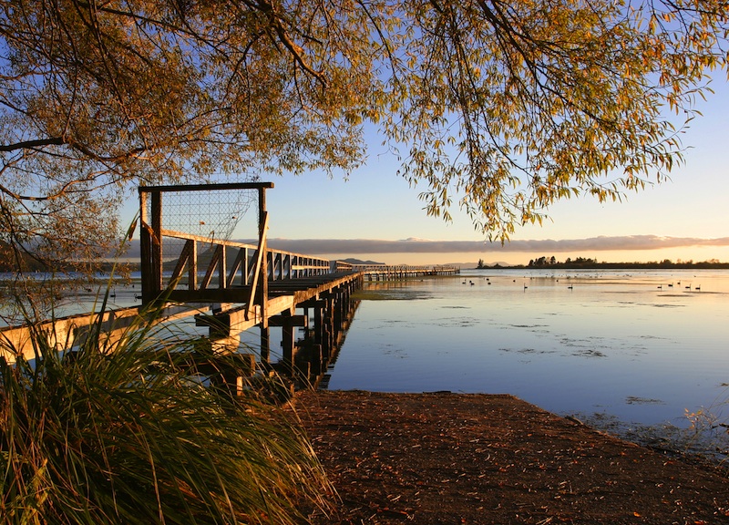 Autumn, Lake Taupo, New Zealand