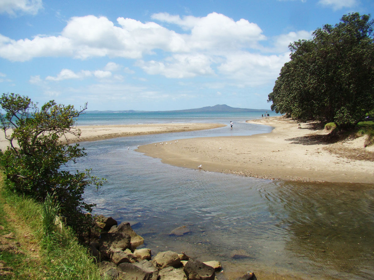 Browns bay