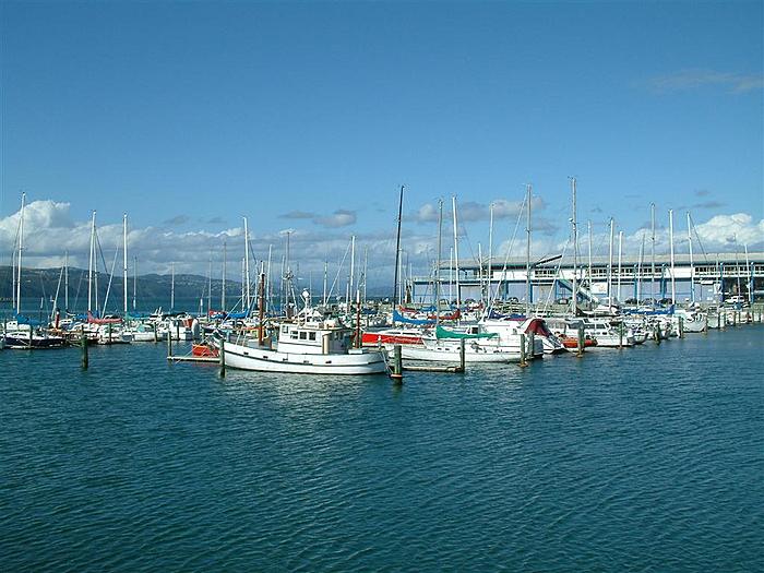 chaffers marina
