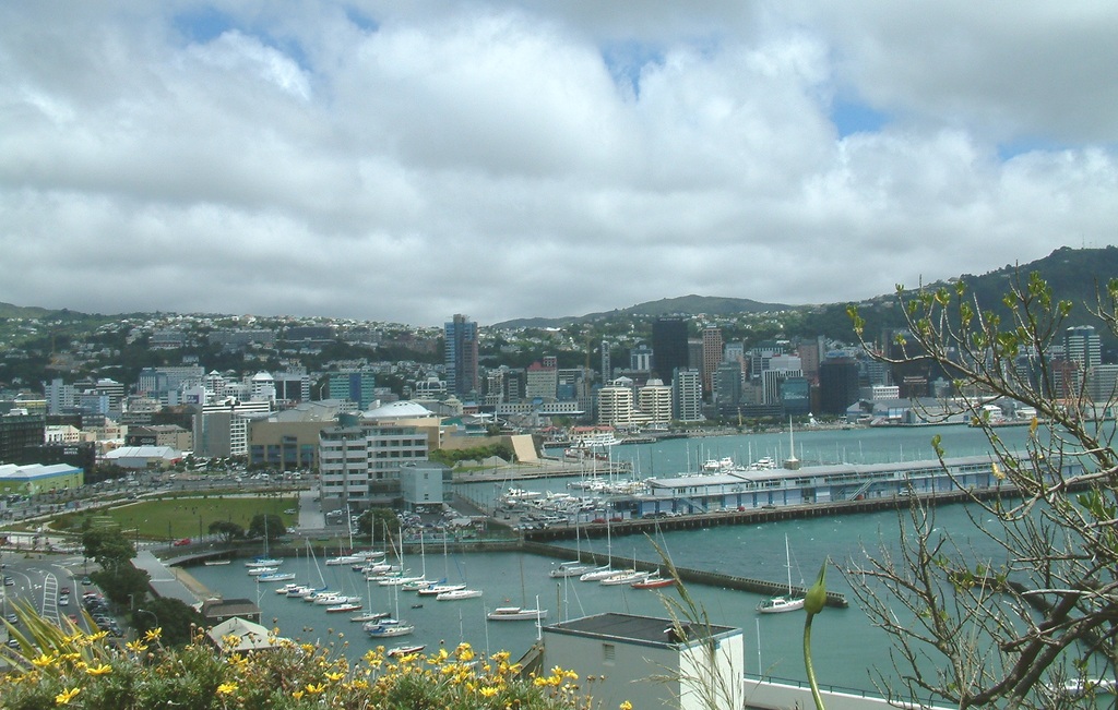 city view from Mt Vic