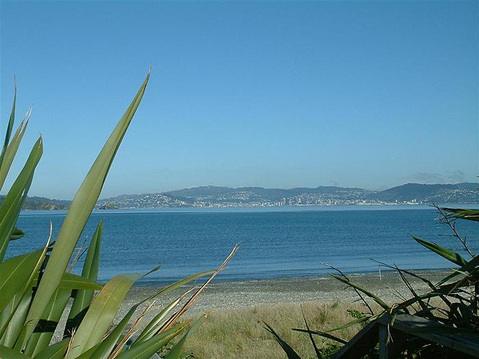 city view from petone