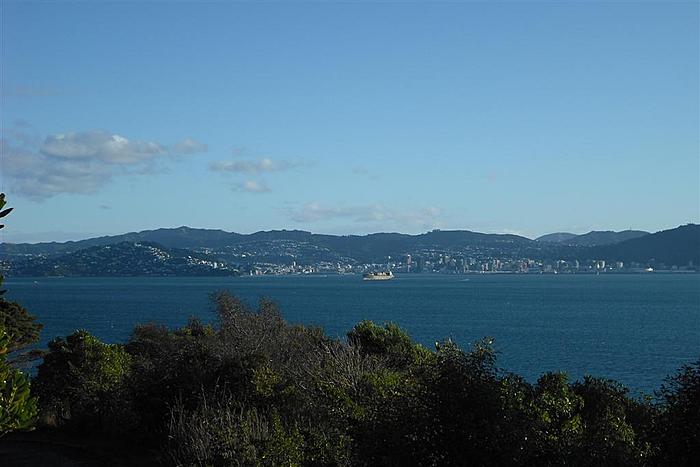 city view from somes island