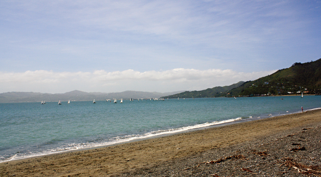 Eastbourne- view towards Days Bay