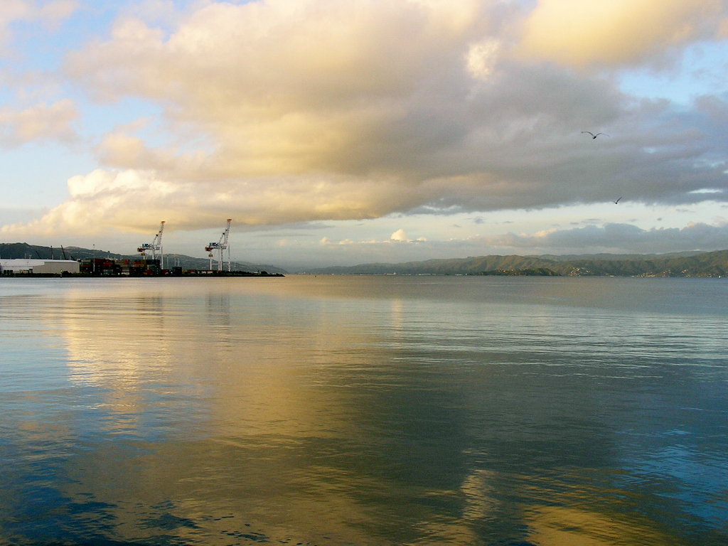 Ever-changing harbor