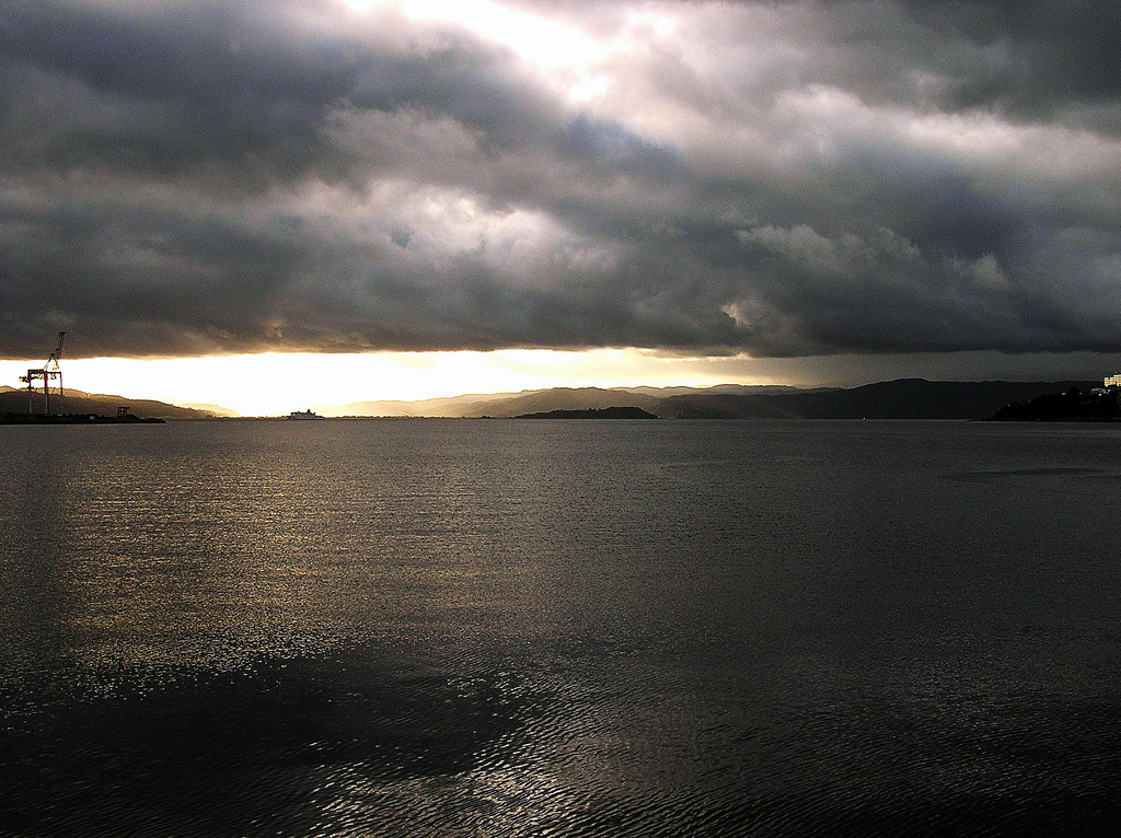 Ever-changing harbor
