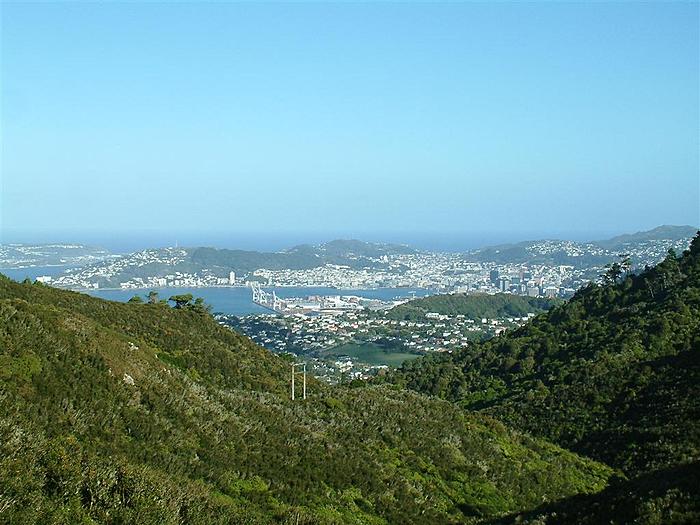harbour view from mt kaukau