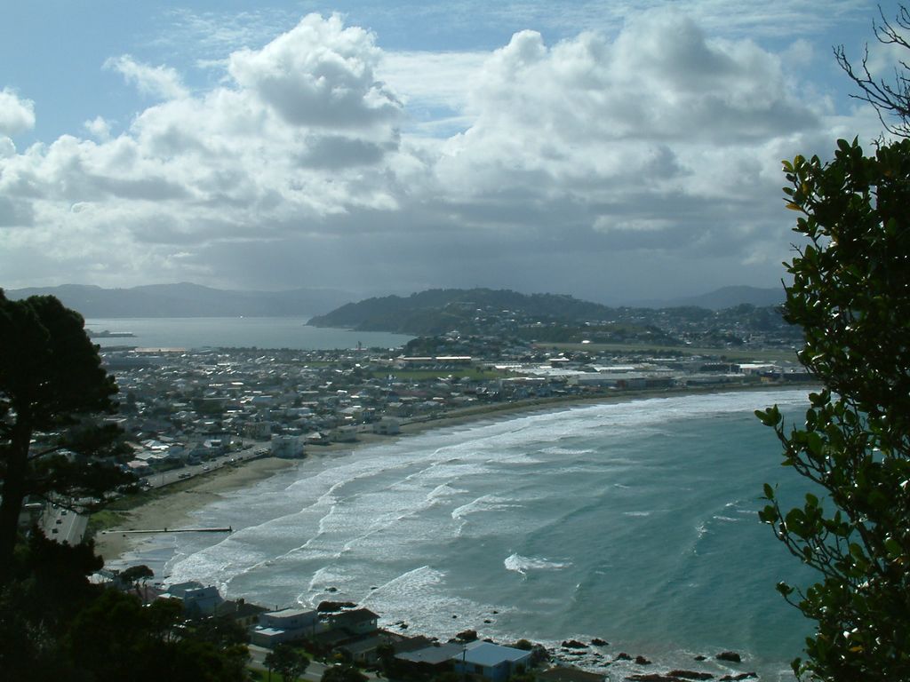 Lyall Bay