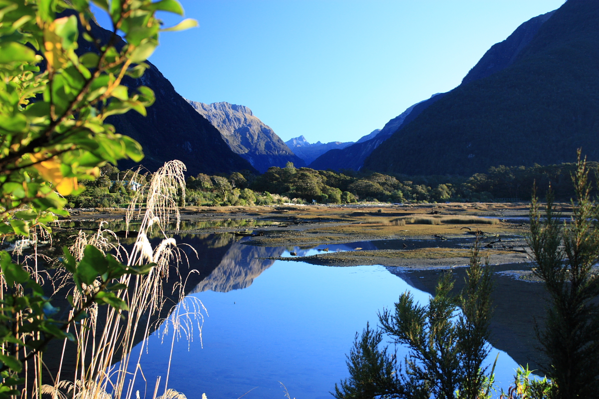 Milford sound