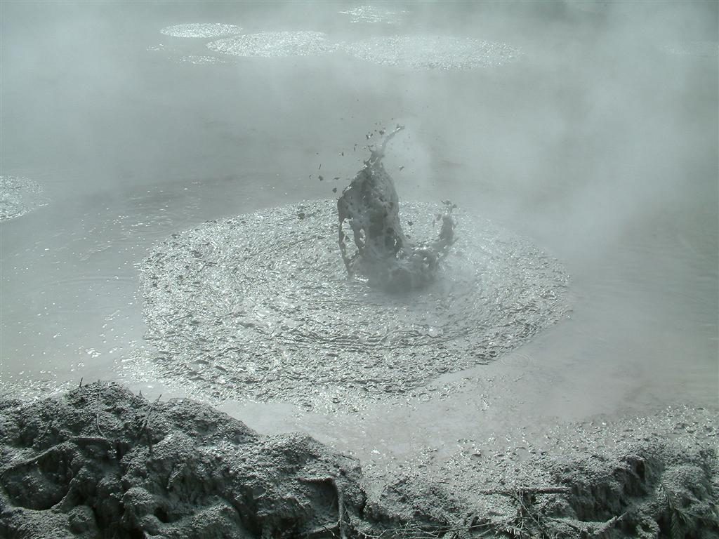 mud pools rotorua