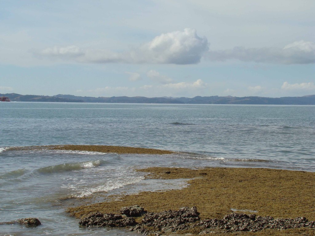 Musick Point