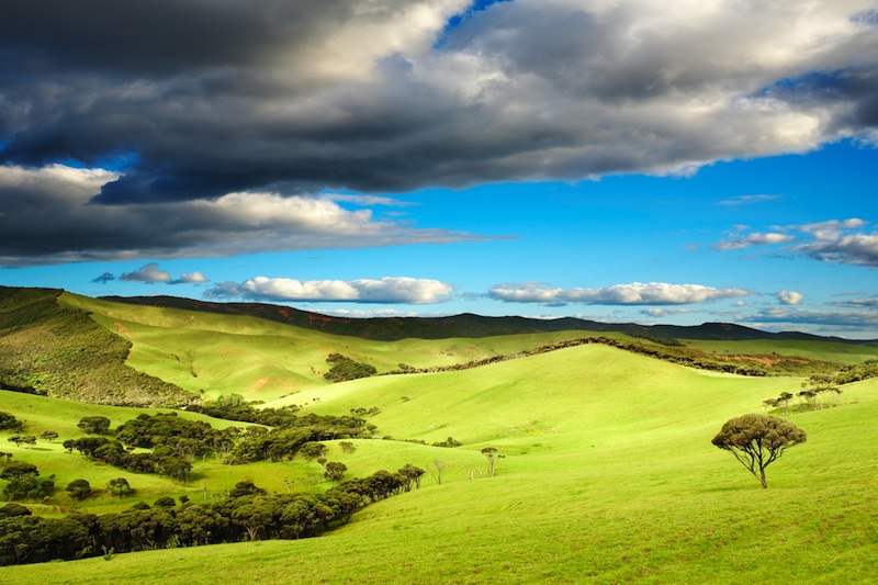 New Zealand landscape, Пичугин Дмитрий