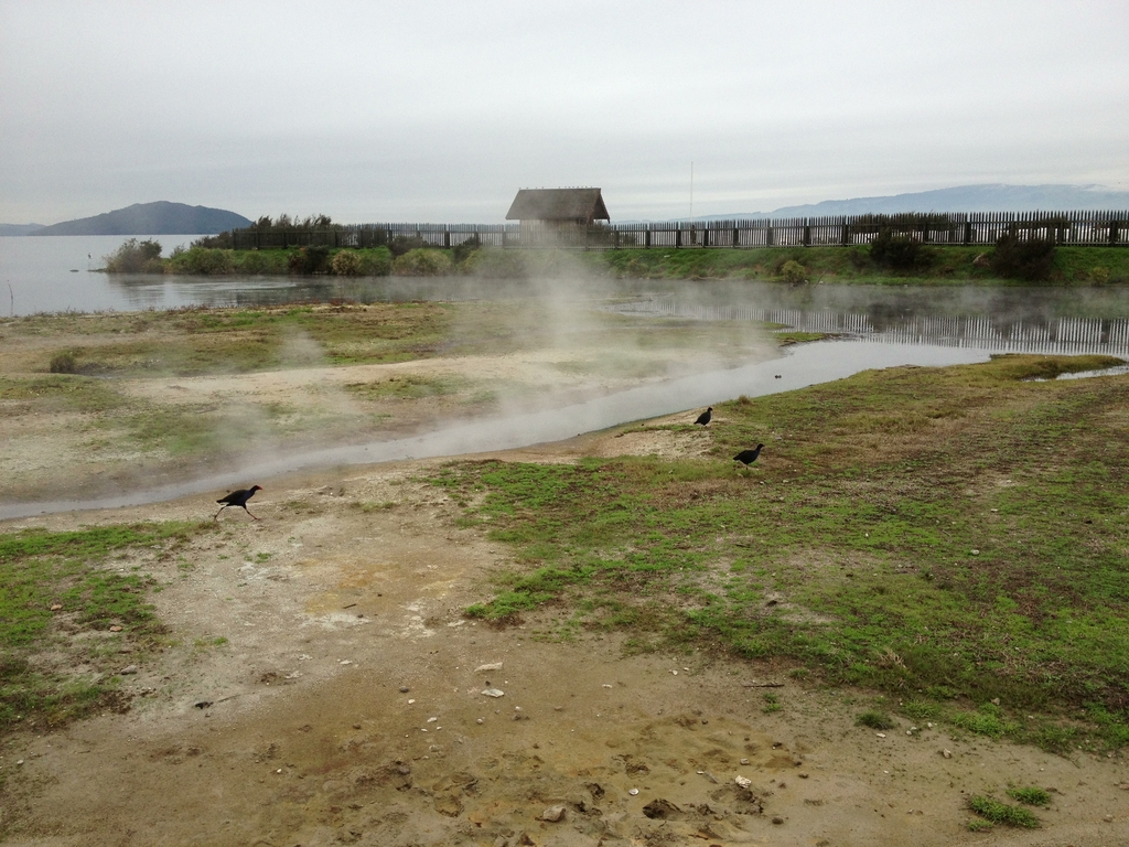 Ohinemutu (Rotorua)