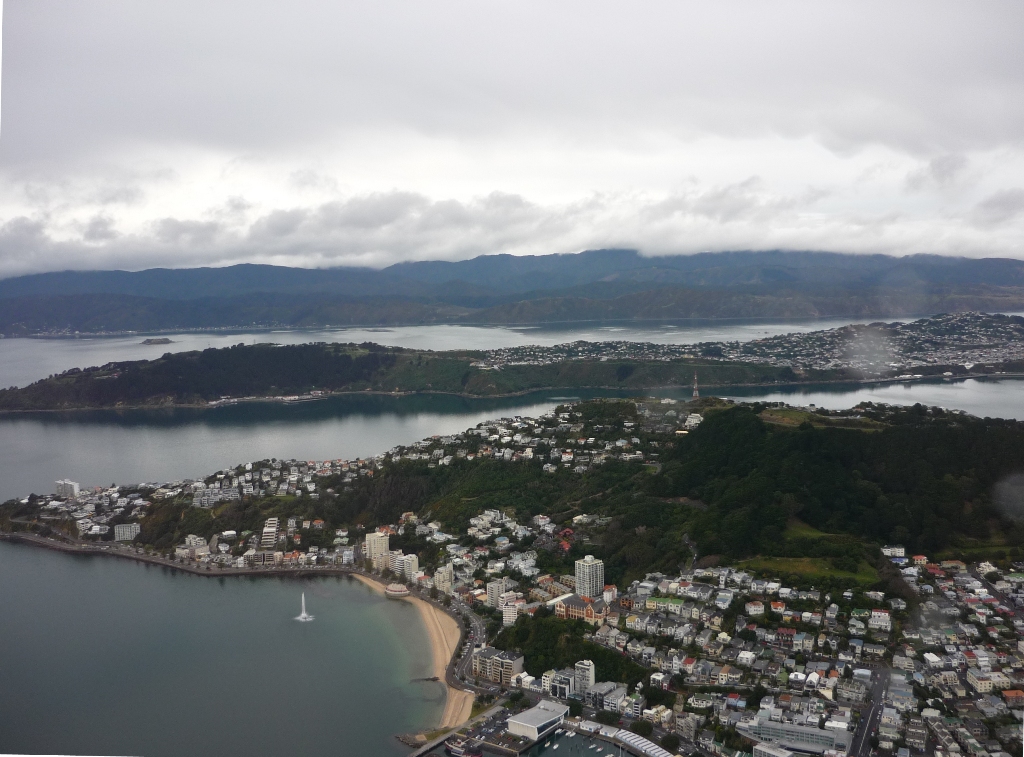Oriental Bay 