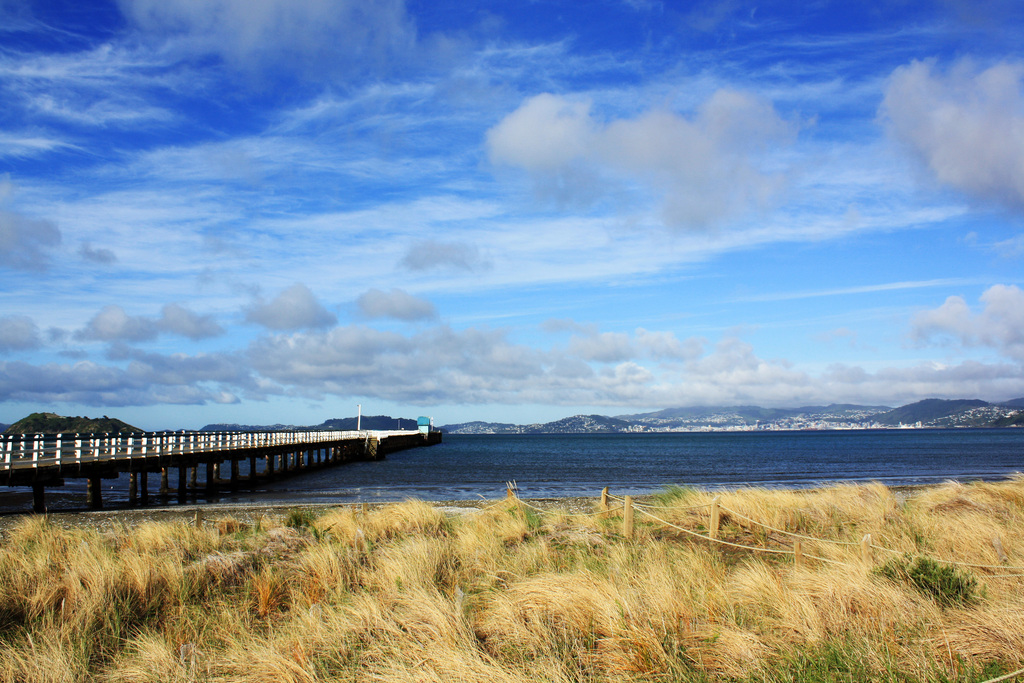 Petone - view towards Wellington