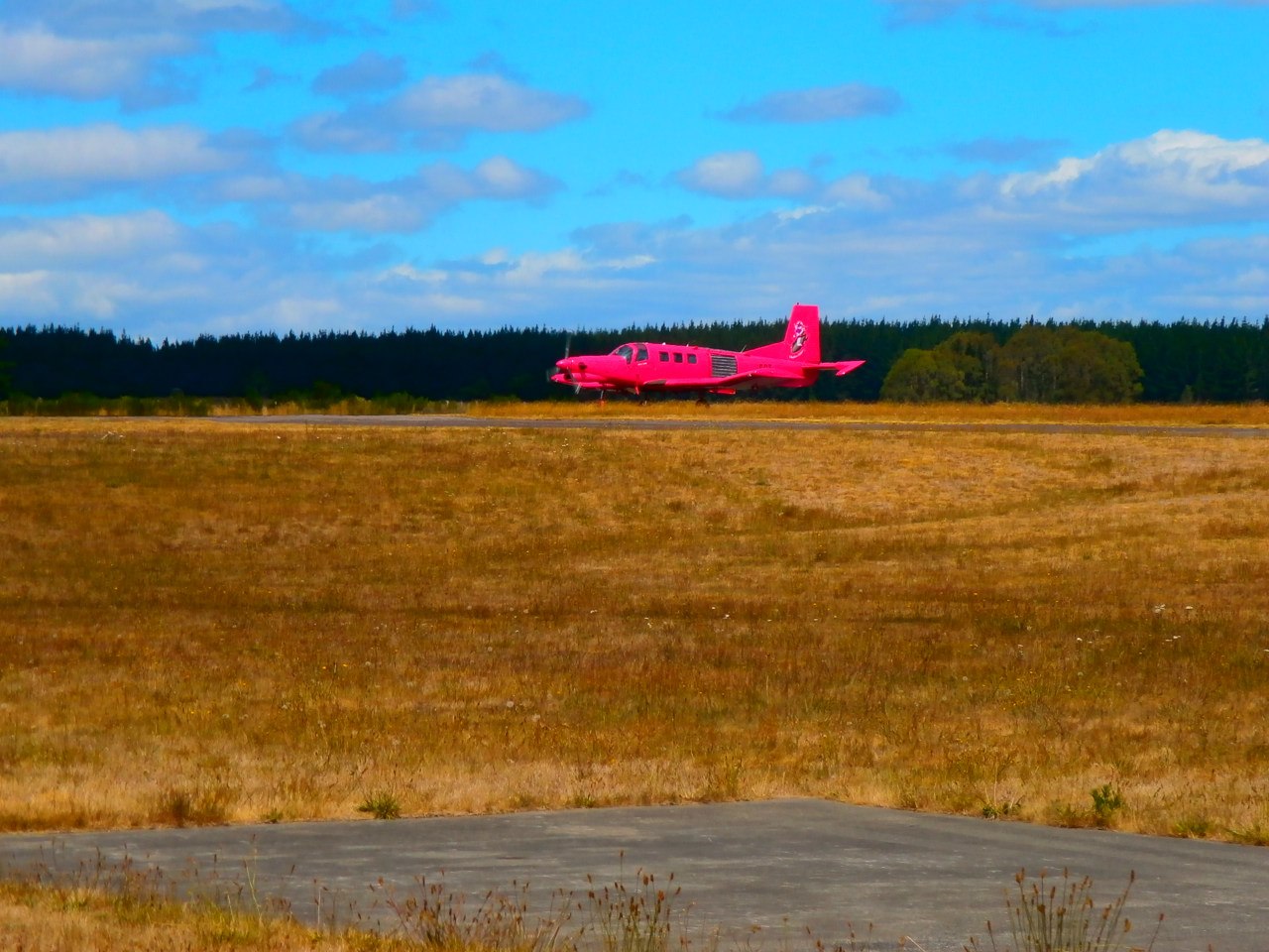 Pink Aeroplane