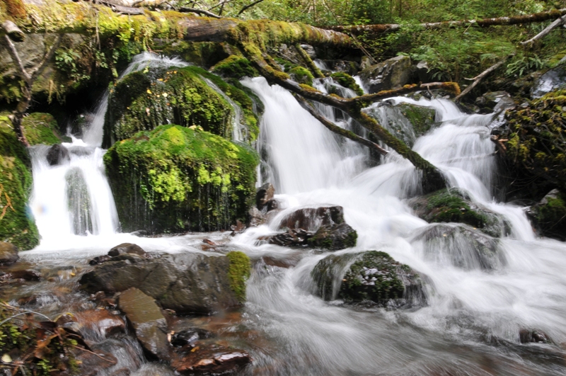 Просто осень в Maruia Springs