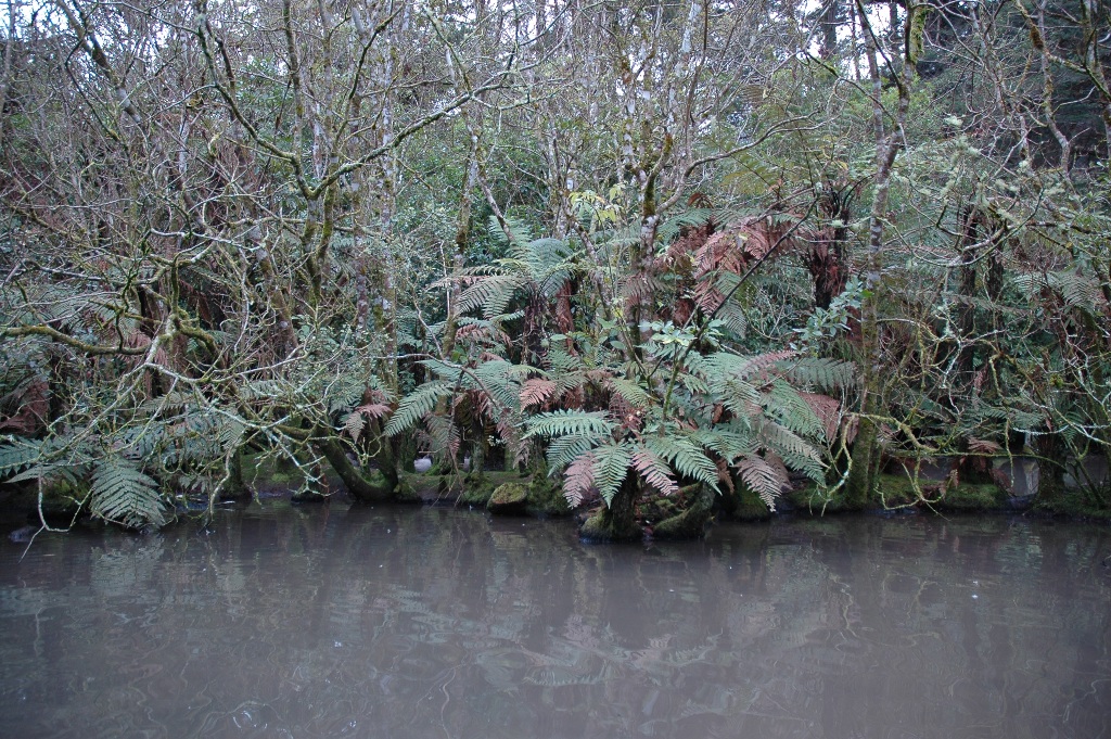 Staglands