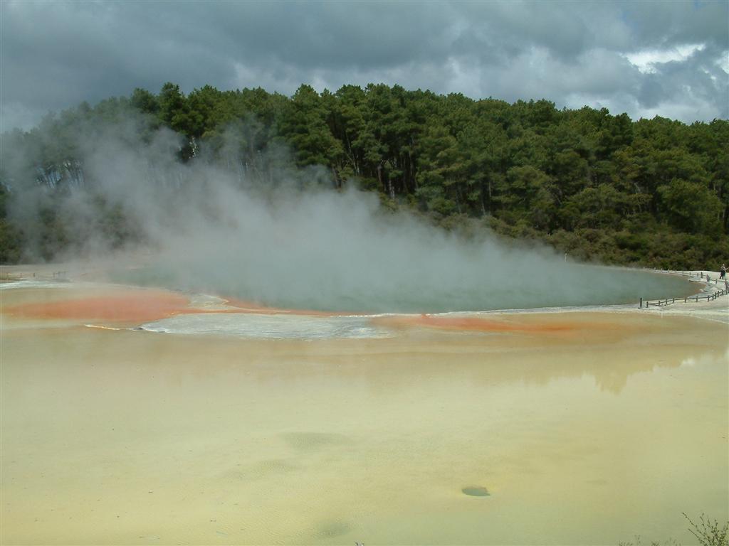 steaming hot lakes rotorua