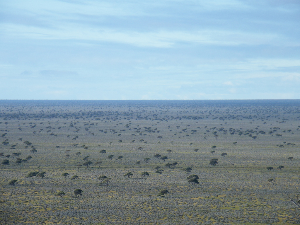 Sydney-Kalgoorlie