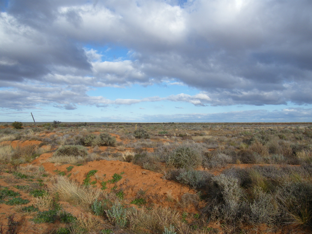Sydney-Kalgoorlie