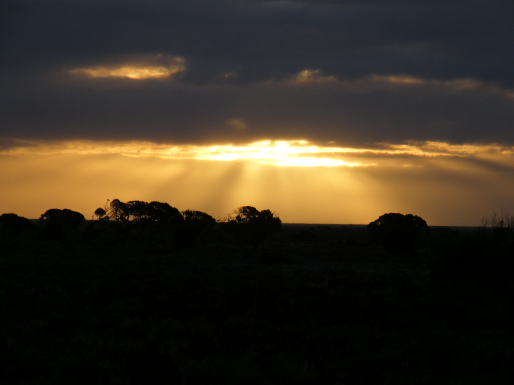 Sydney-Kalgoorlie
