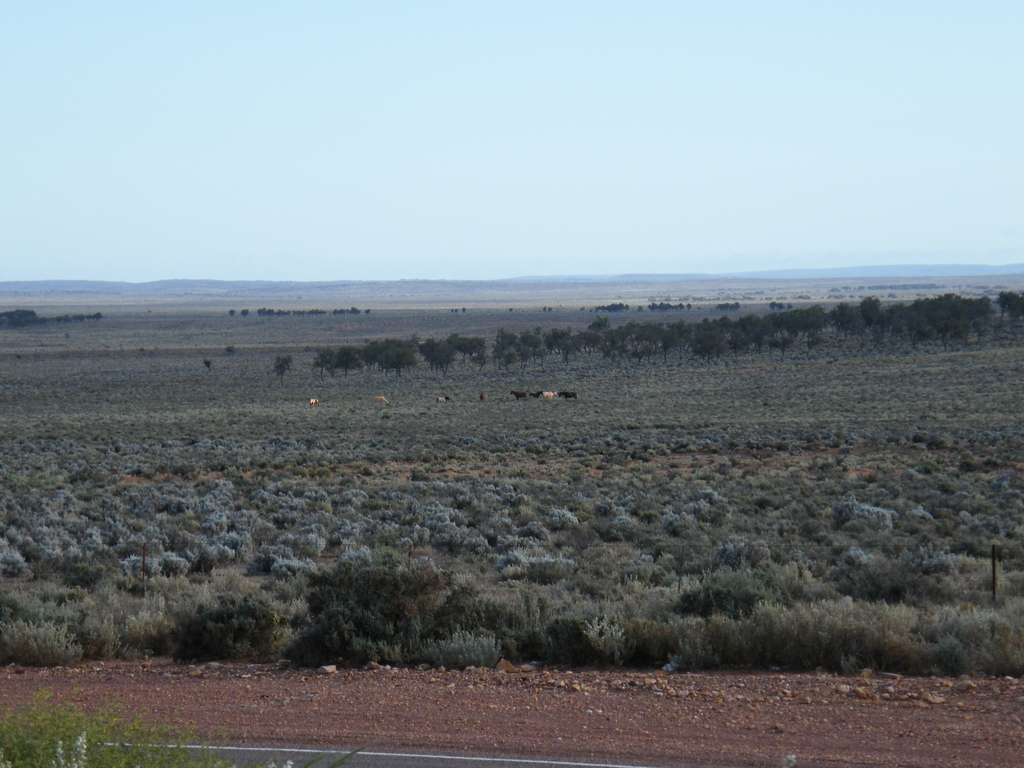 Sydney-Kalgoorlie